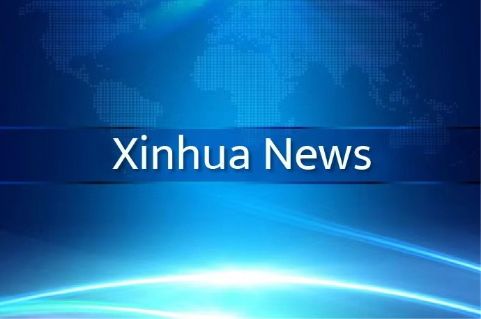 China launches crackdown on illegal external links online-Xinhua